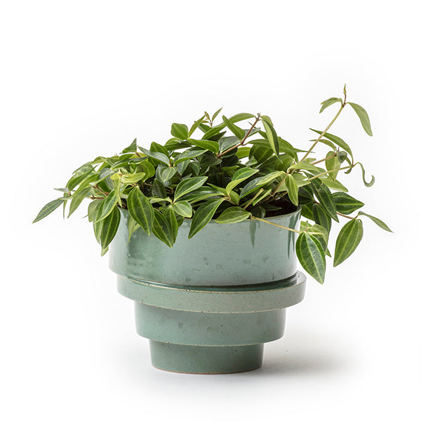 The big stacked flowerpot